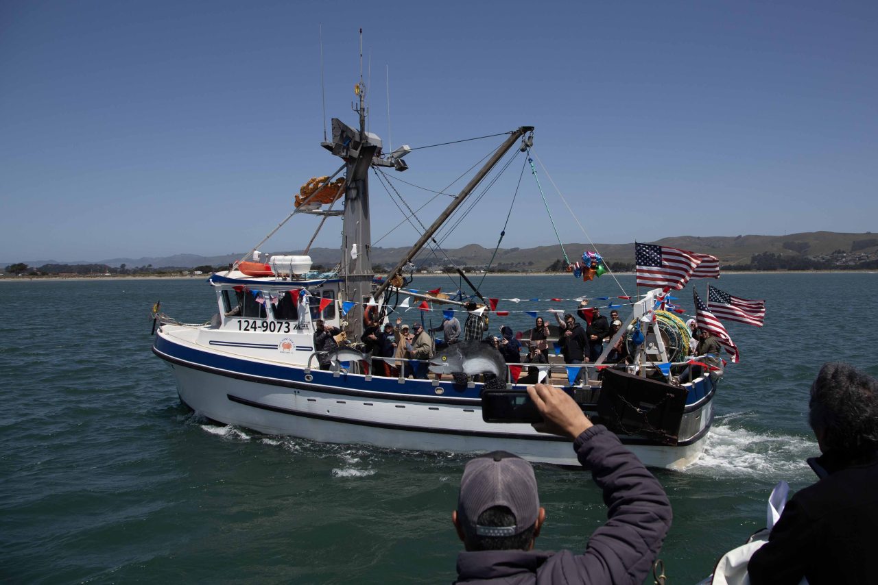 Blessing of the Fleet Bodega Bay Fisherman's Festival